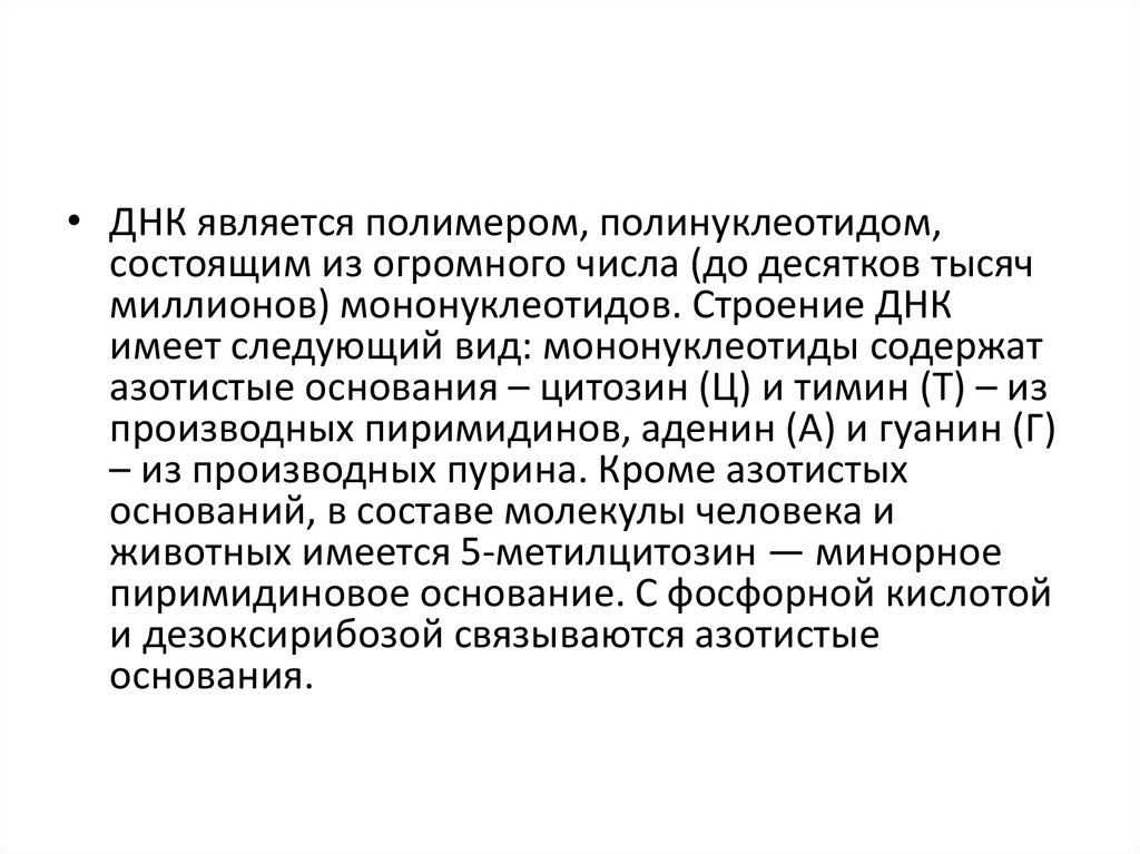 Что является полимером. Полимерами являются. Кто является полимером.