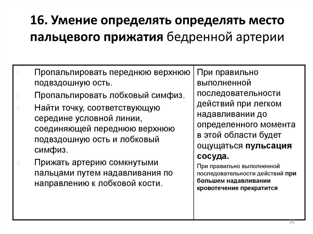 16 навыков. Практические навыки по анатомии. Анатомия практические навыки пошагово.