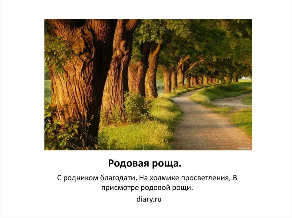 Родовая роща.