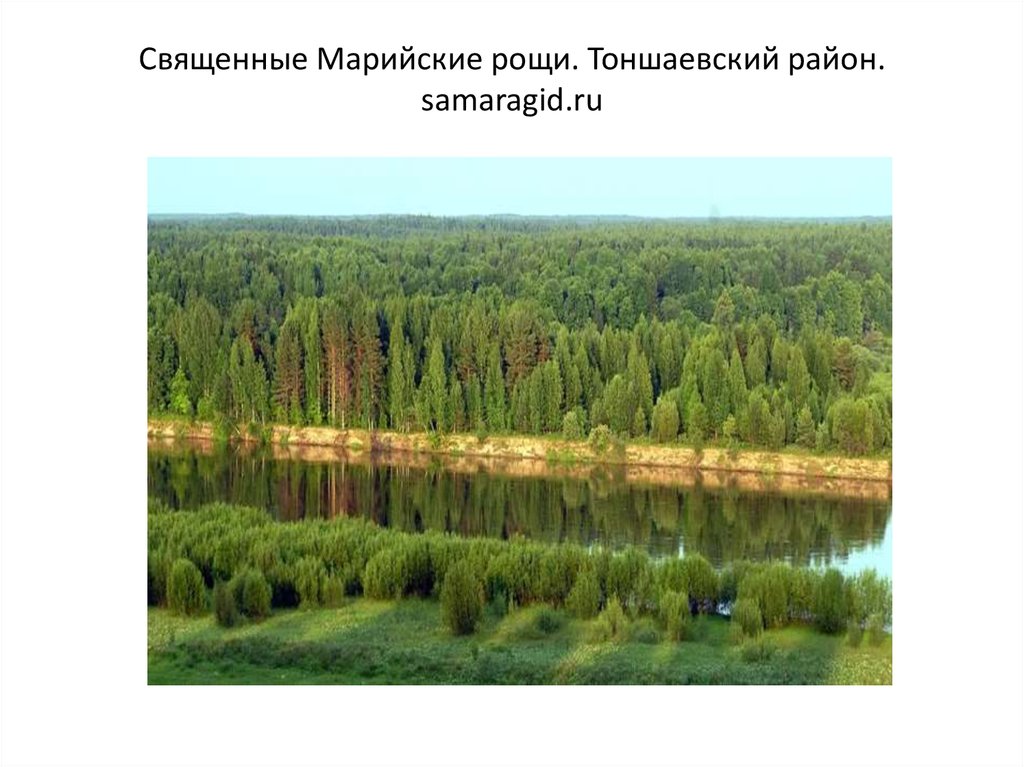 Священные Марийские рощи. Тоншаевский район. samaragid.ru