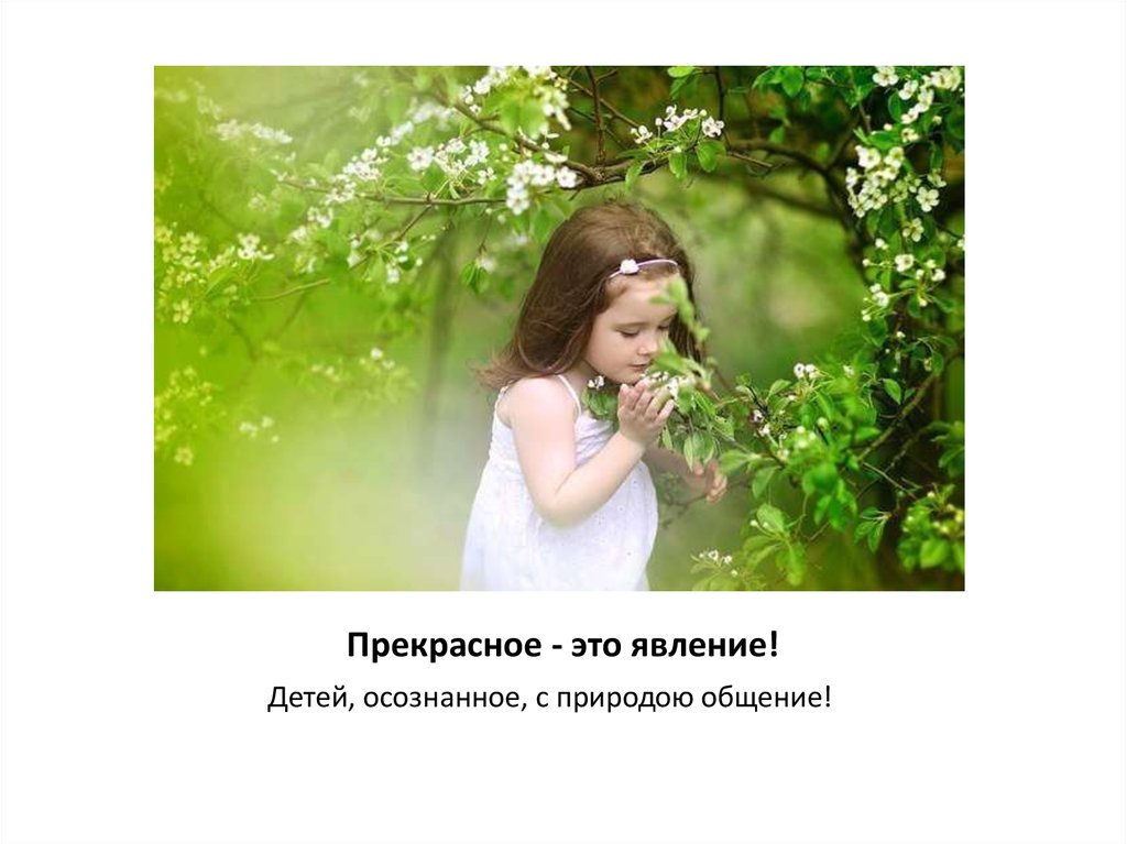 Прекрасное - это явление!