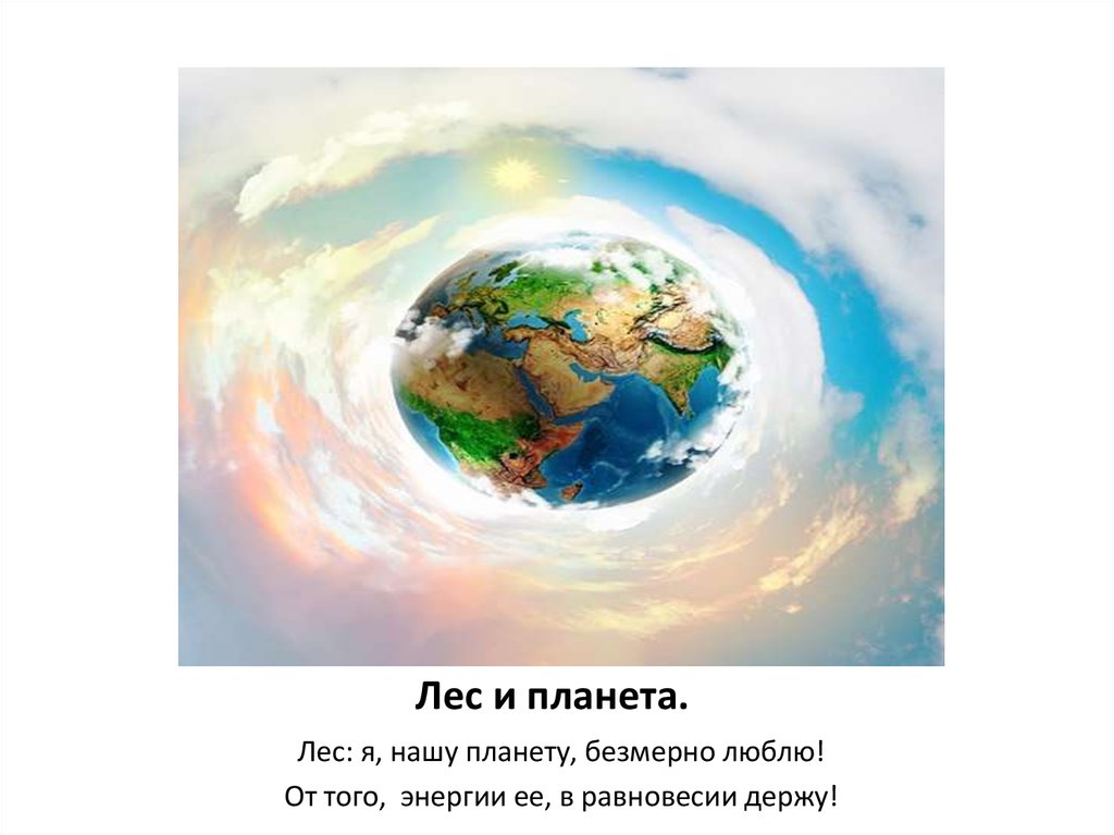 Лес и планета.