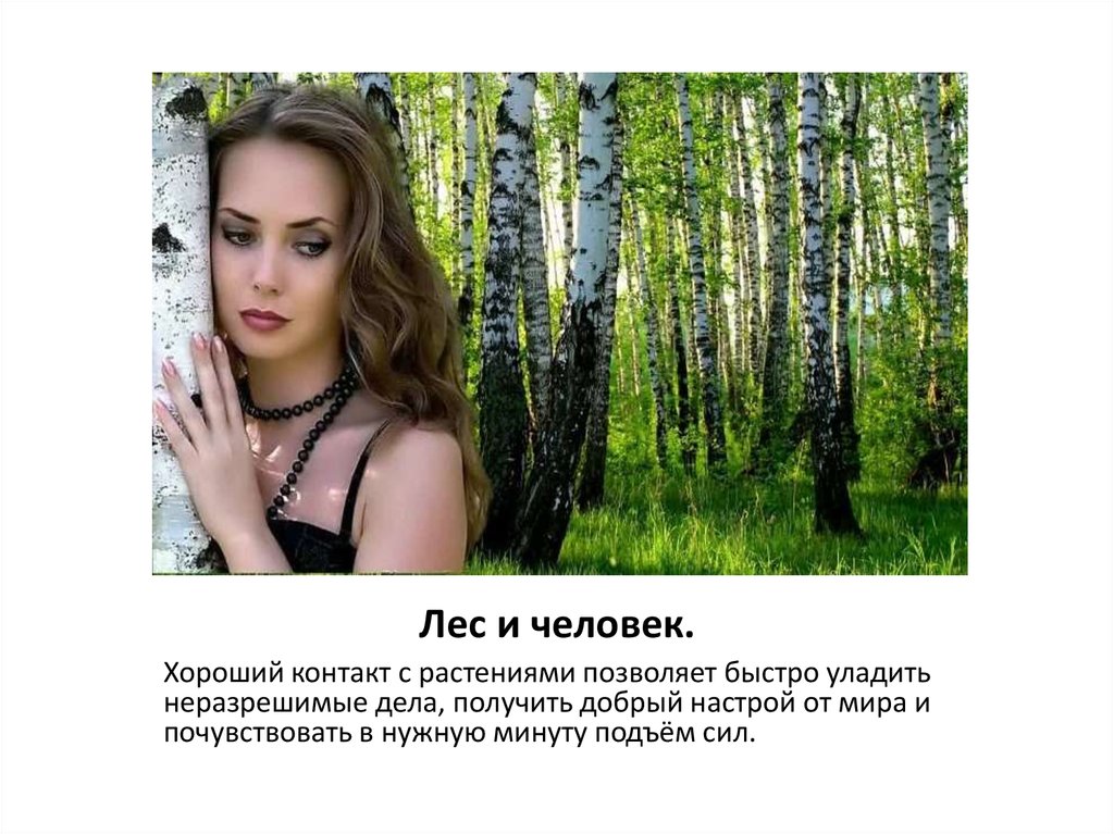 Лес и человек.