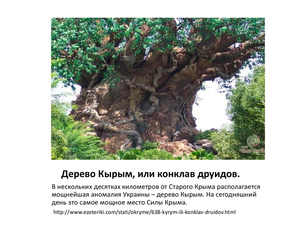 Дерево Кырым, или конклав друидов.