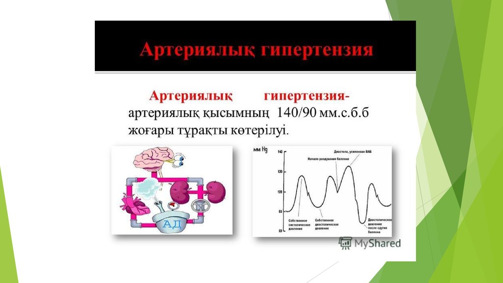 Артериялық гипертензия презентация қазақша