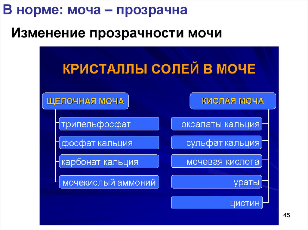 Соли в моче. Соли в кислой моче. Соли кислой и щелочной мочи. Осадки щелочной мочи.