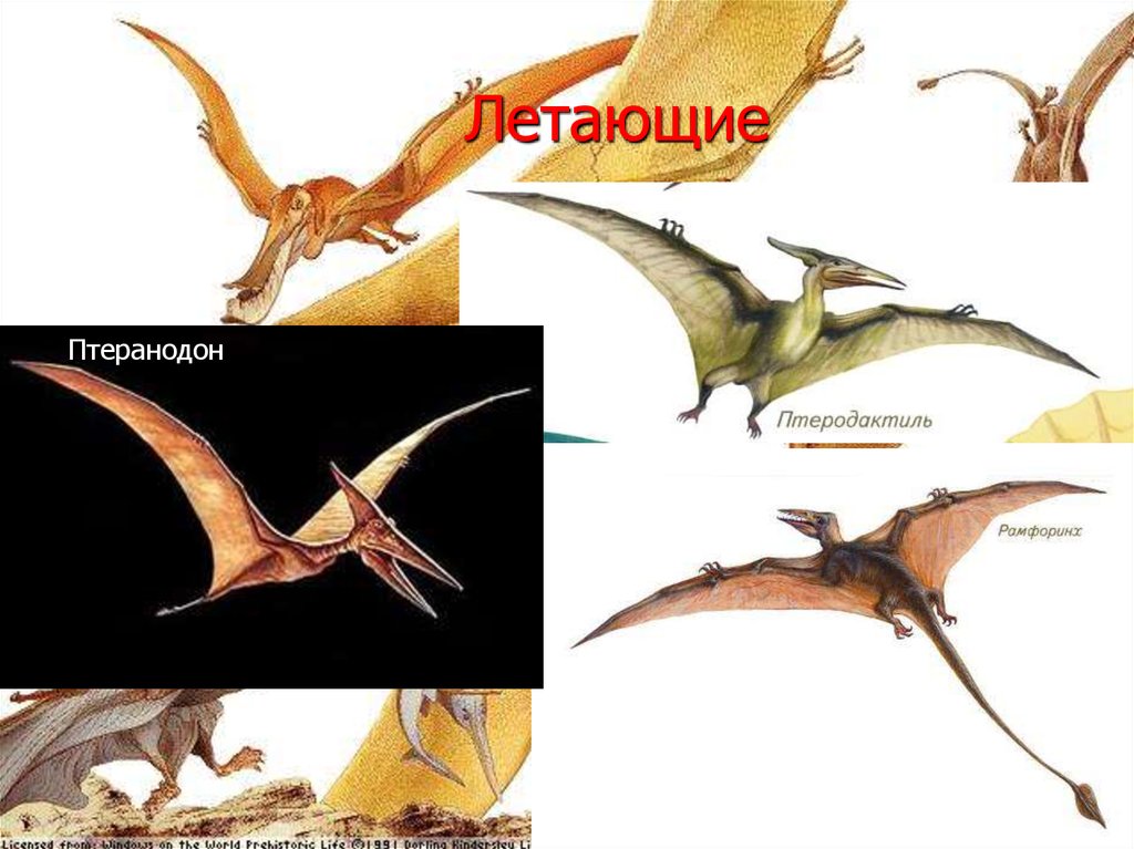 Древние пресмыкающиеся динозавры презентация