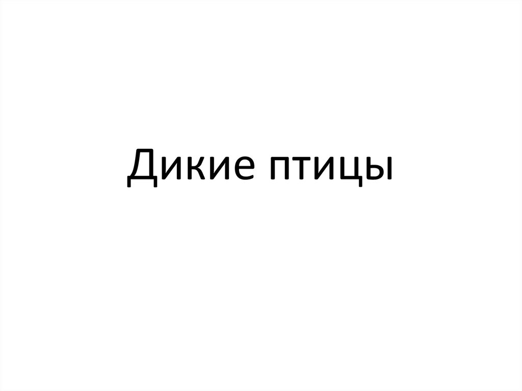 Дикие птицы - презентация онлайн