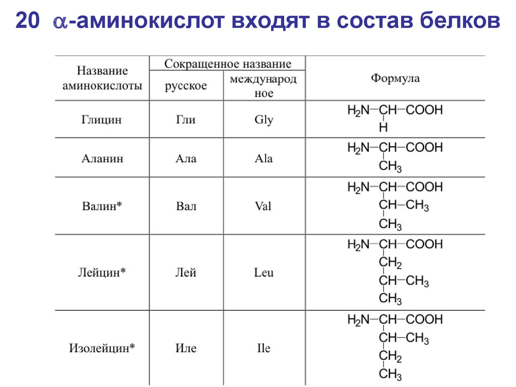 Таблица аминокислот. Формулы аминокислот которые входят в состав белков. 20 Белковых аминокислот формулы. Таблица аминокислоты входящие в состав белка. Формулы белковых аминокислот.