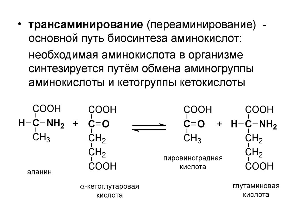 Кетокислоты аминокислот. Общая схема реакции трансаминирования аминокислот. Трансаминирование аминокислот реакции. Реакция трансаминирования аминокислот. Валин трансаминирование.