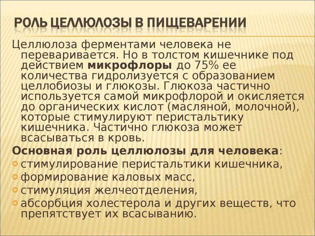 Целлюлоза выполняет функцию