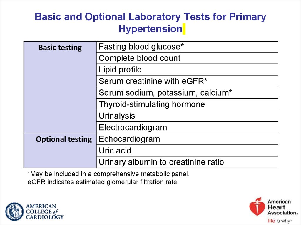 Basic and Optional Laboratory Tests for Primary Hypertension