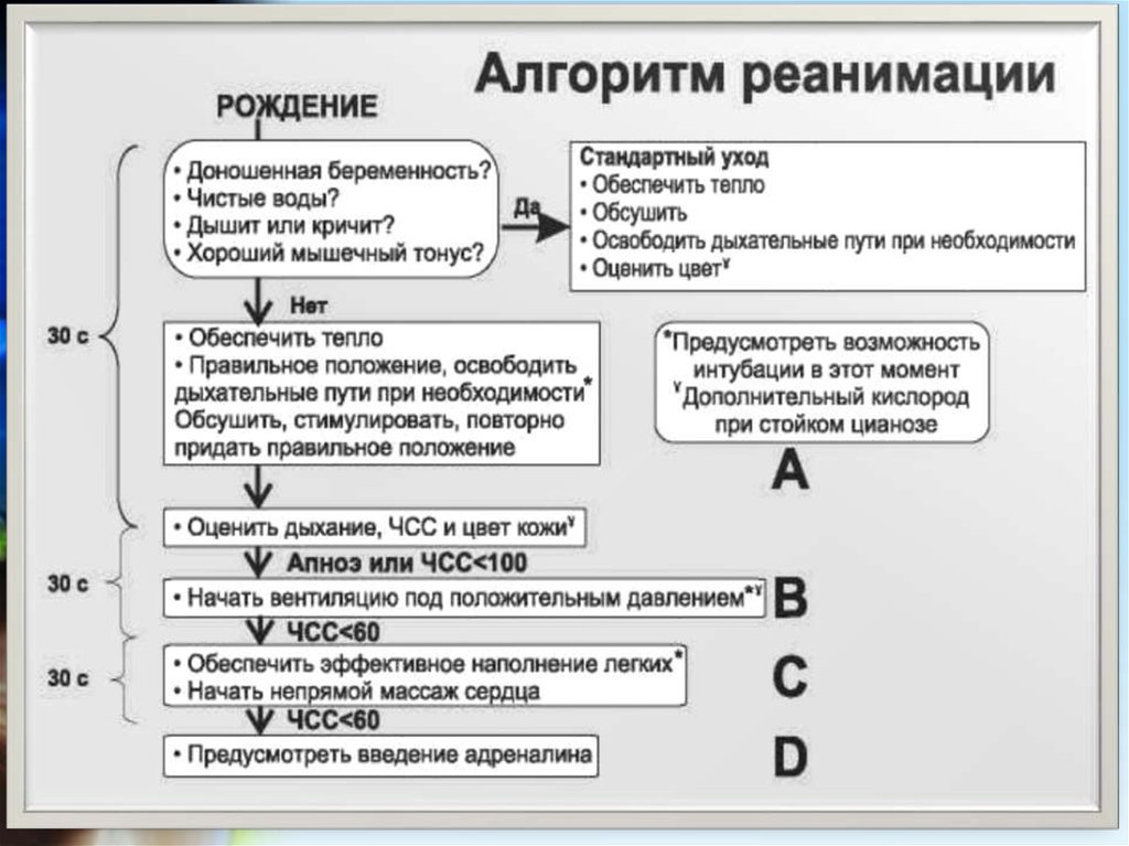 Алгоритм abcde. Алгоритм реанимации новорожденных при асфиксии. Схема первичной реанимации новорожденного. СЛР при асфиксии новорожденного алгоритм. Реанимационные мероприятия при асфиксии новорожденного.