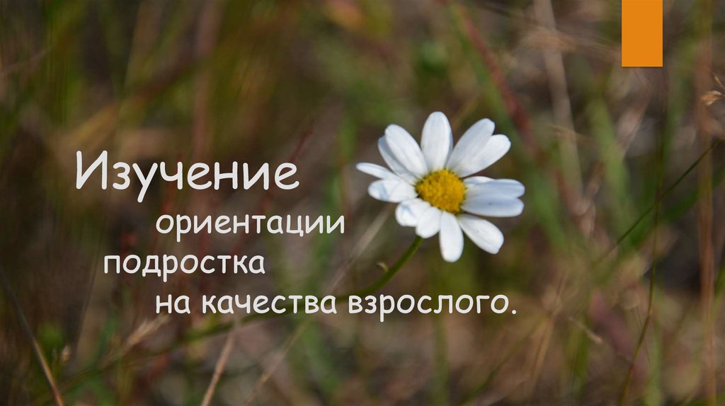 Исследованию ориентации. Ориентации. Как принять ориентацию подростка.