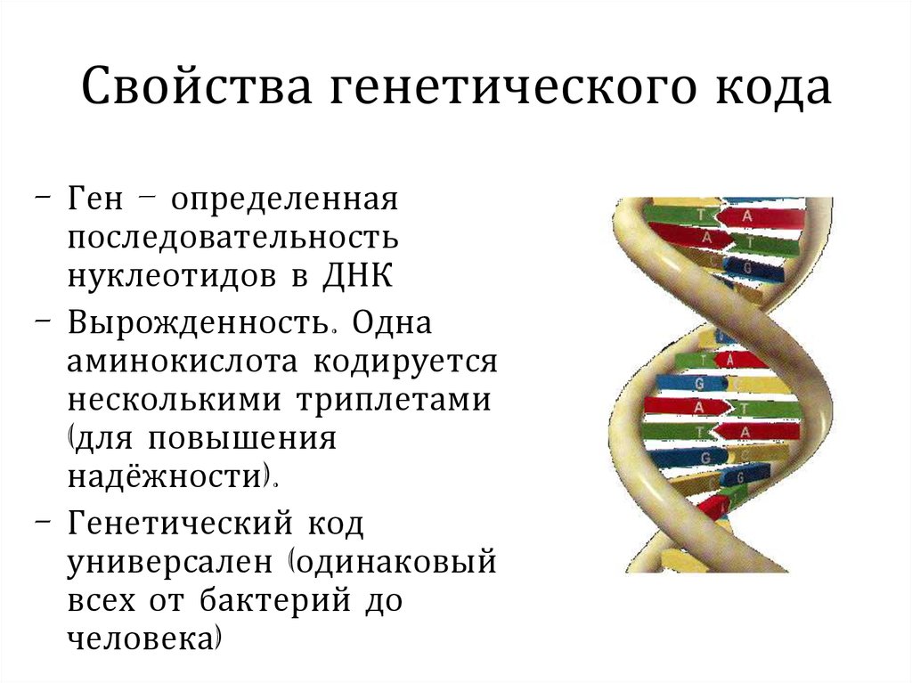 Свойство генетической информации. ДНК человека генетический код. Свойства генетического кода. Генетический код свойства генетического кода. Геном это генетический код человека.