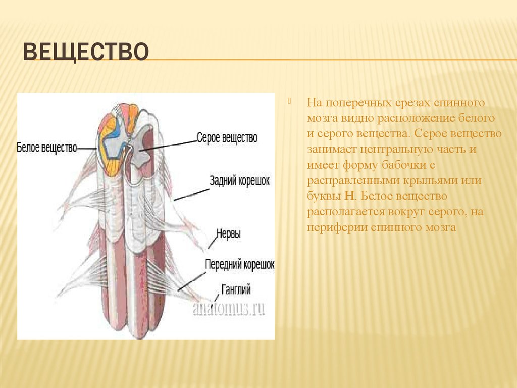 Что обозначено на рисунке буквой а