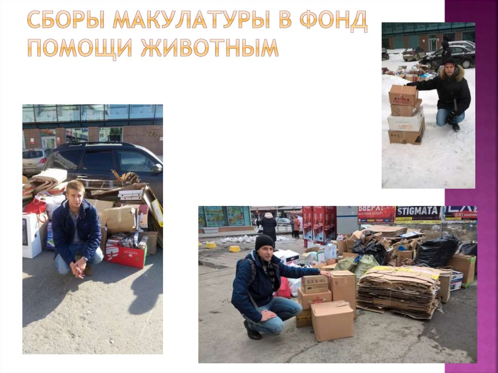 Сборы Макулатуры в фонд помощи животным