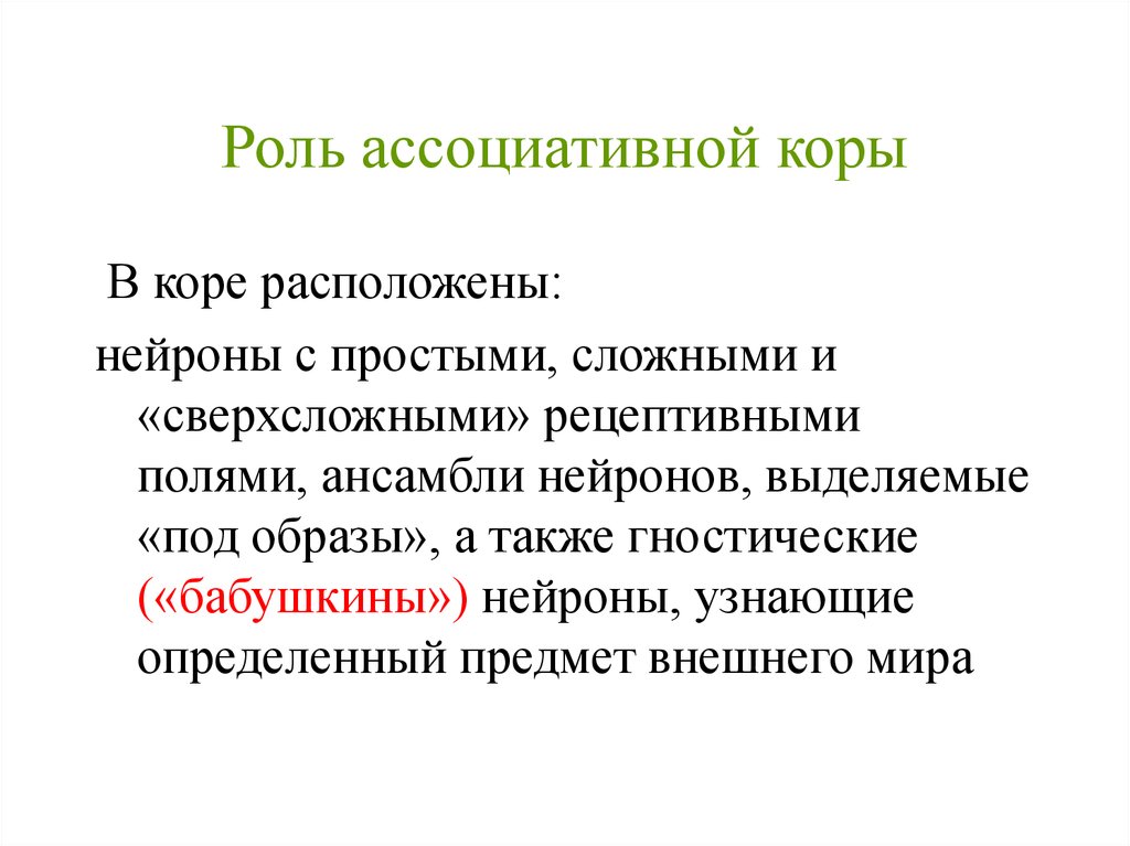 Экспрессивные и рецептивные. Ассоциативность функции. Рецептивное поле нейрона. Рецептивная роль. Нейронный ансамбль физиология.