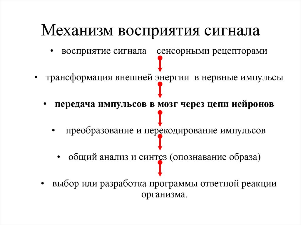 Механизм сигналов. Механизм формирования восприятия. Передача и преобразование сигналов в сенсорных системах.