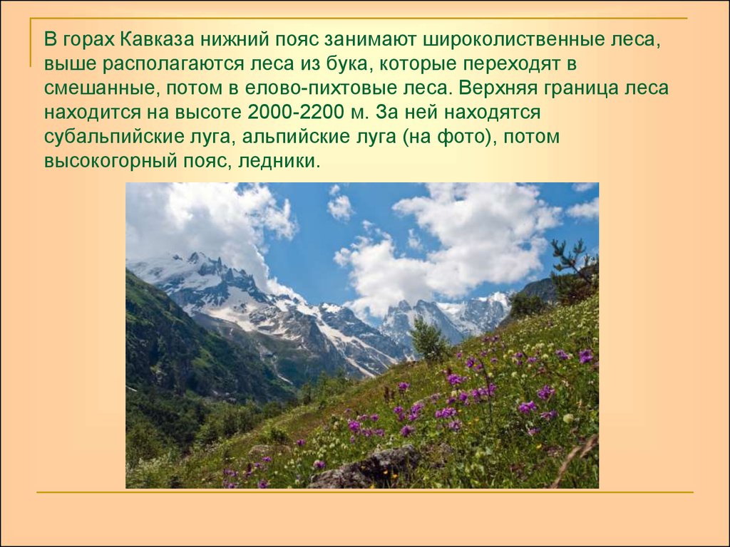 Кратко кавказский. Рассказ о горах Кавказа. Кавказские горы презентация. Описать горы Кавказ. Растительный мир кавказских гор.