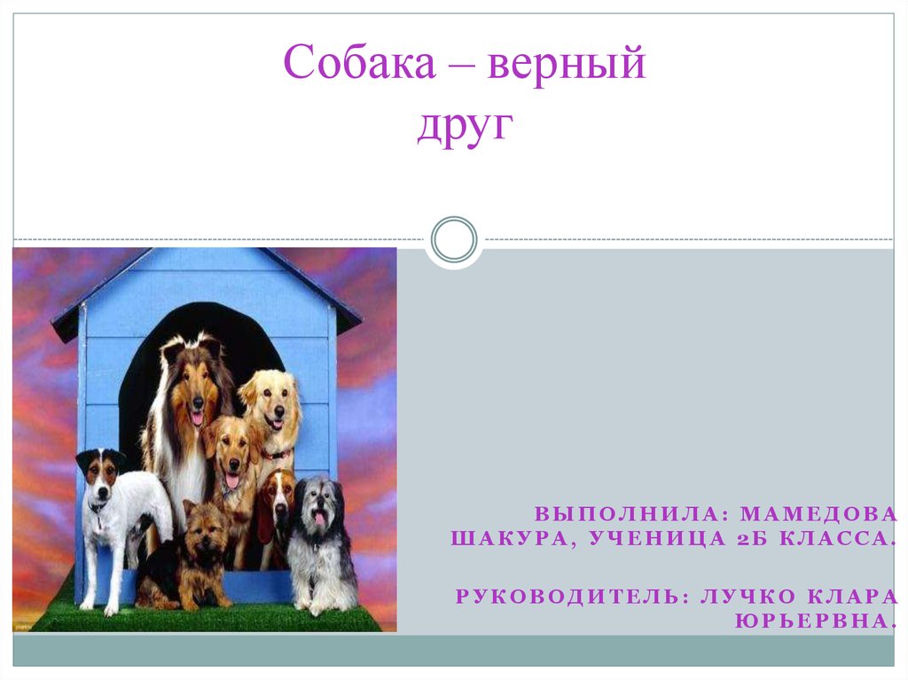 По общепринятому мнению собака верный друг огэ. Собака верный друг. Собака верный друг человека презентация. Детский проект на тему собака мой верный друг. Собака преданный друг слайд.