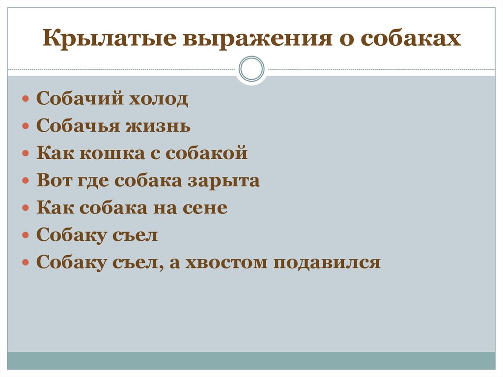 Словосочетание собаку. Крылатые выражения про собак. Словосочетания про собак. Крылатое выражение собака 5. Предложение с выражением собачий холод.