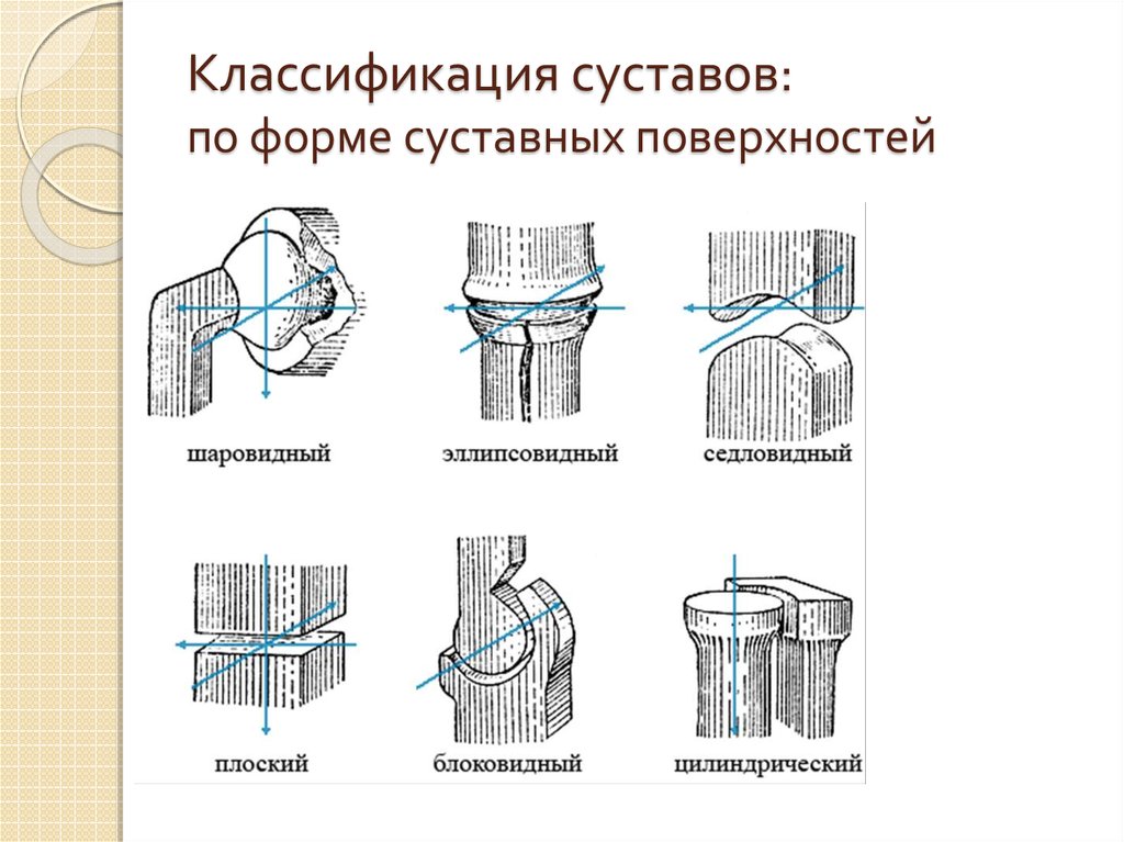 Классификация суставов схема