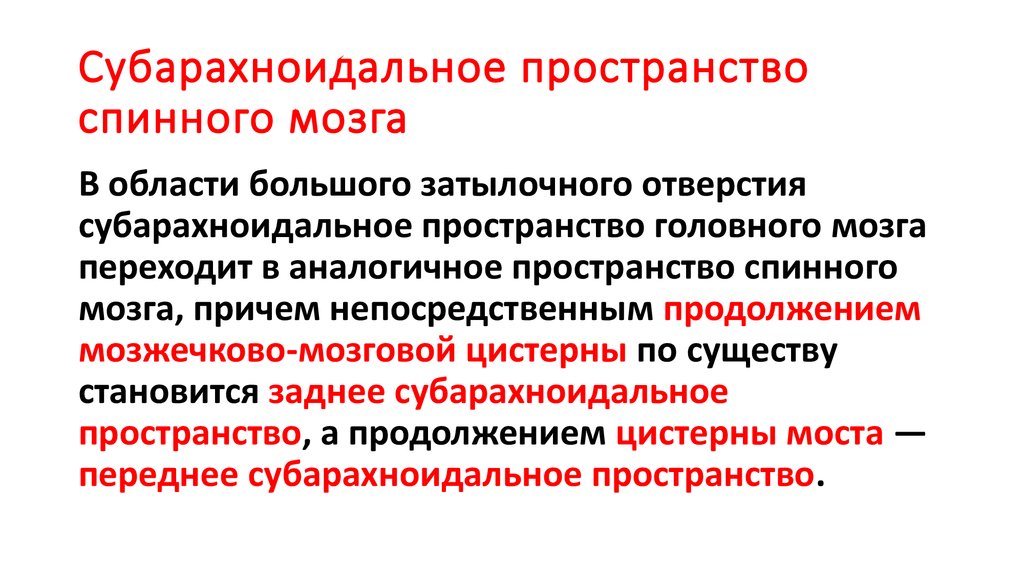 Признаки пространства. Субарахноидальное субарахноидальное пространство. Субархноидалтнадье пространство. Подпаутинное субарахноидальное пространство. Субарахноидальное пространство спинного мозга.