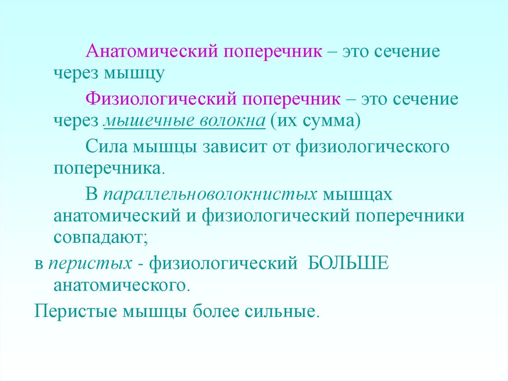 Поперечник. Анатомический и физиологический поперечник мышц. Анатомический поперечник мышцы это. Физиологический поперечник. Перисто-волокнистая, параллельноволокнистые мышца.