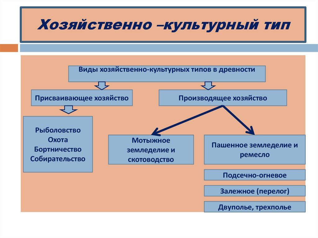 Экономическая культура типы