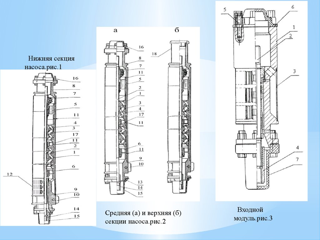 Рис модуль. Модуль секция насоса ЭЦН. Входной модуль УЭЦН. Входной модуль насоса УЭЦН. Модуль секция насоса ЭЦН чертеж.