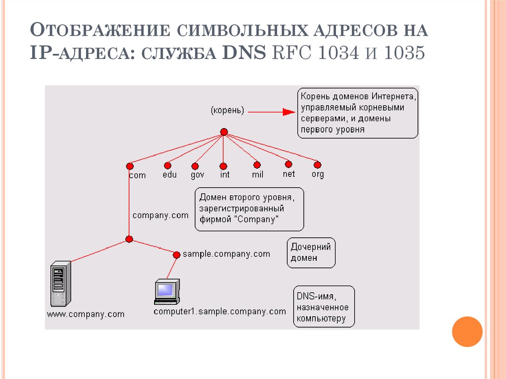 Служба dns