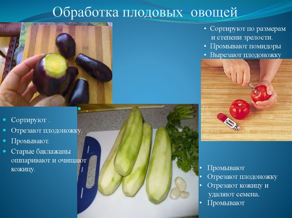 Обработка овощей блюда из овощей. Схема механической кулинарной обработки овощей. Обработка плодовых овощей. Механическая обработка плодовых овощей. Обработка плодовых овощей схема.
