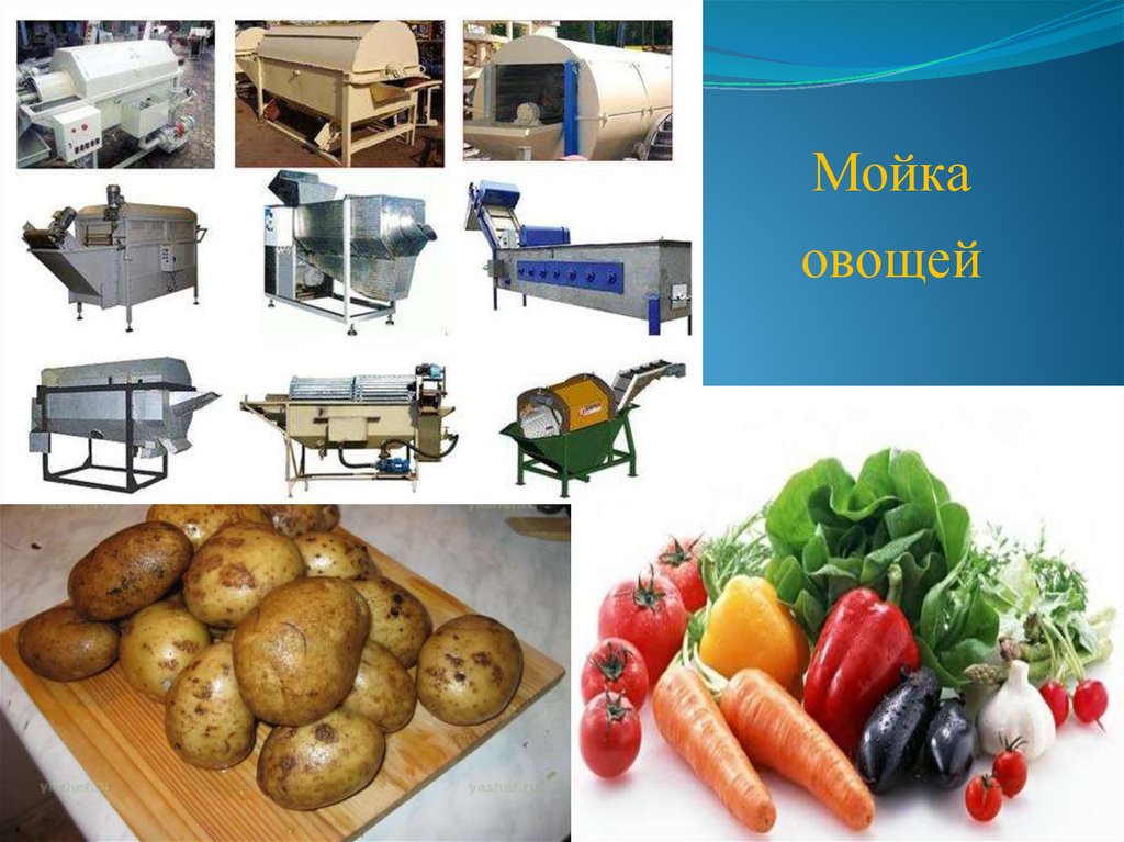 Обработки подготовки овощей. Инвентарь для обработки овощей. Оборудование для очистки овощей. Оборудование для обработки овощей и картофеля. Оборудования и инвентарь для овощного цеха для нарезки картофеля.