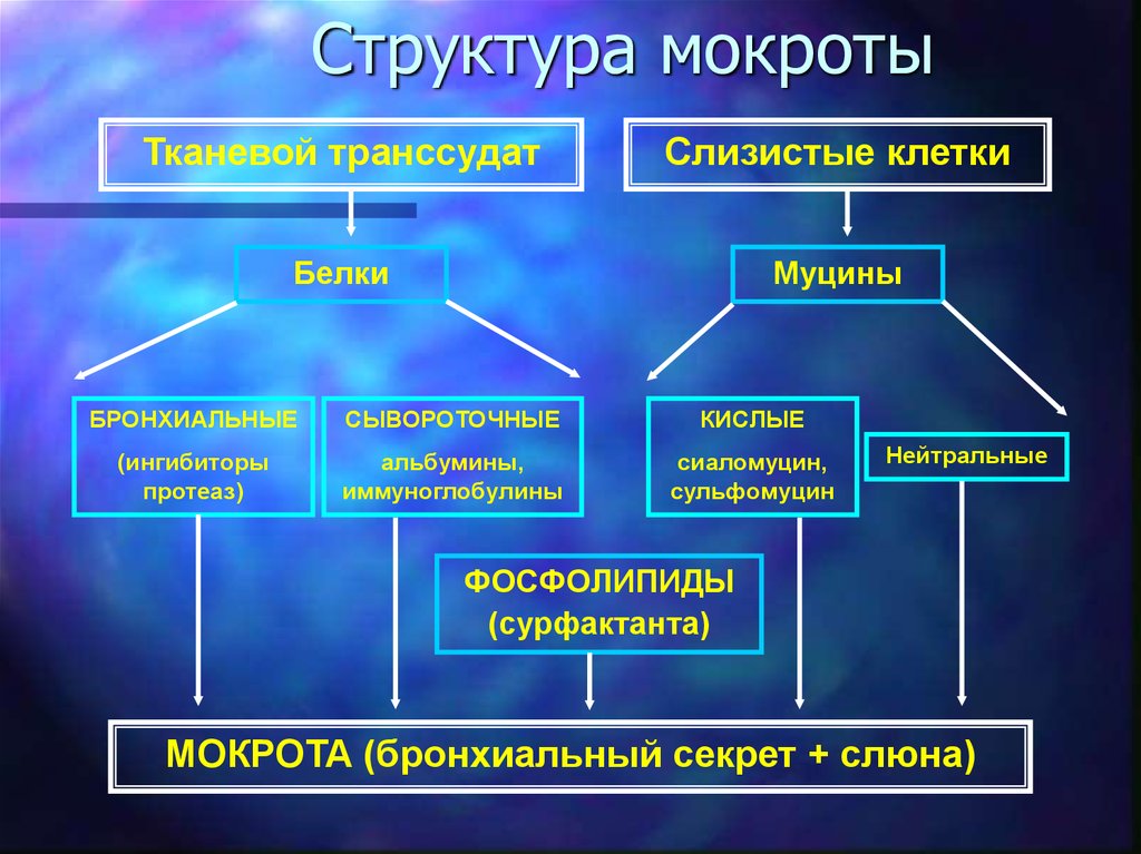 Презентация на тему мокрота