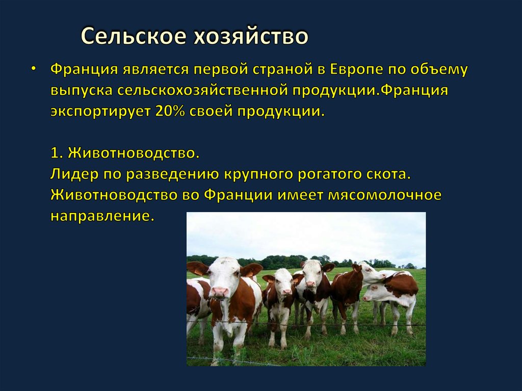 Отрасли специализации сельского хозяйства франции главные районы