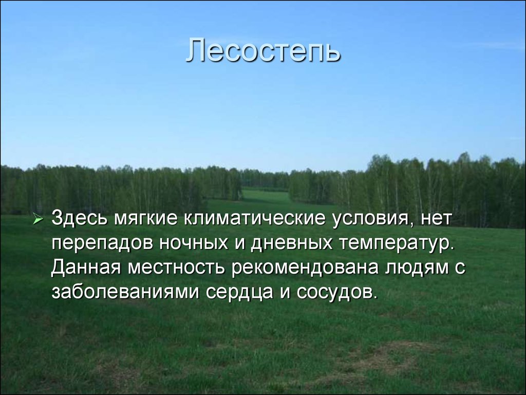 Мягкие климатические условия. Климат лесостепи. Климат лесостепи в России. Климатические условия лесостепи и степи. Степи лесостепи условия климата.