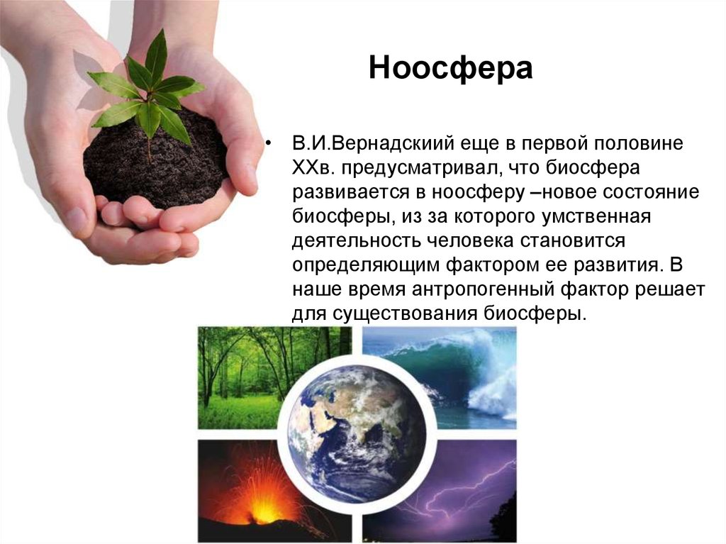 Почему человека называют жителем биосферы. Влияние человека на биосферу. Влияние деятельности человека на биосферу. Влияние деятельности человека на биосферу. Ноосфера.. Биосфера это в экологии.
