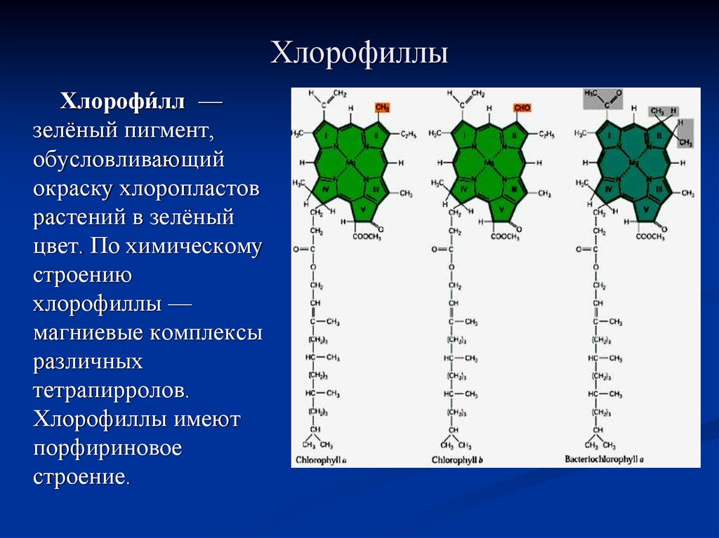 Особенности хлорофилла. Е140 хлорофилл. Хлорофилл формула у растений. Формула хлорофилла в биологии. Хлорофилл б хлорофилл а каротиноиды.