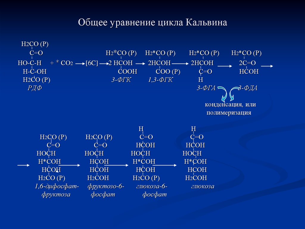 Совместное уравнение. Суммарное уравнение цикла Кальвина. Цикл Кальвина уравнение. Общее уравнение цикла Кальвина. Реакции цикла Кальвина.