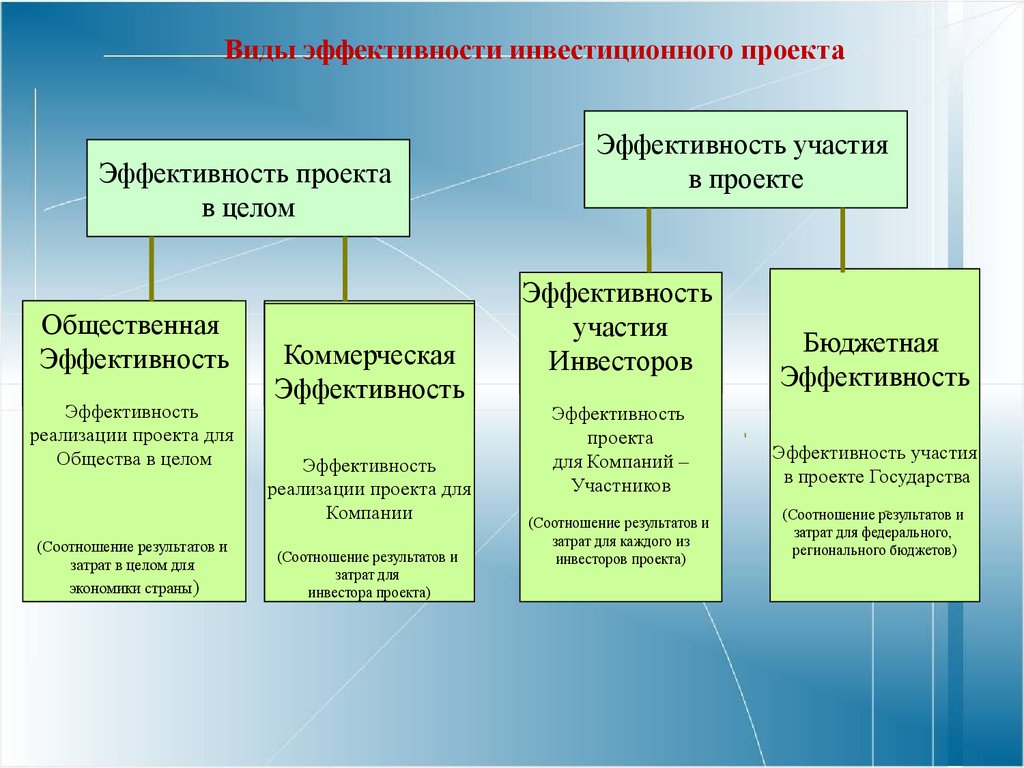 Виды экономической эффективности проекта