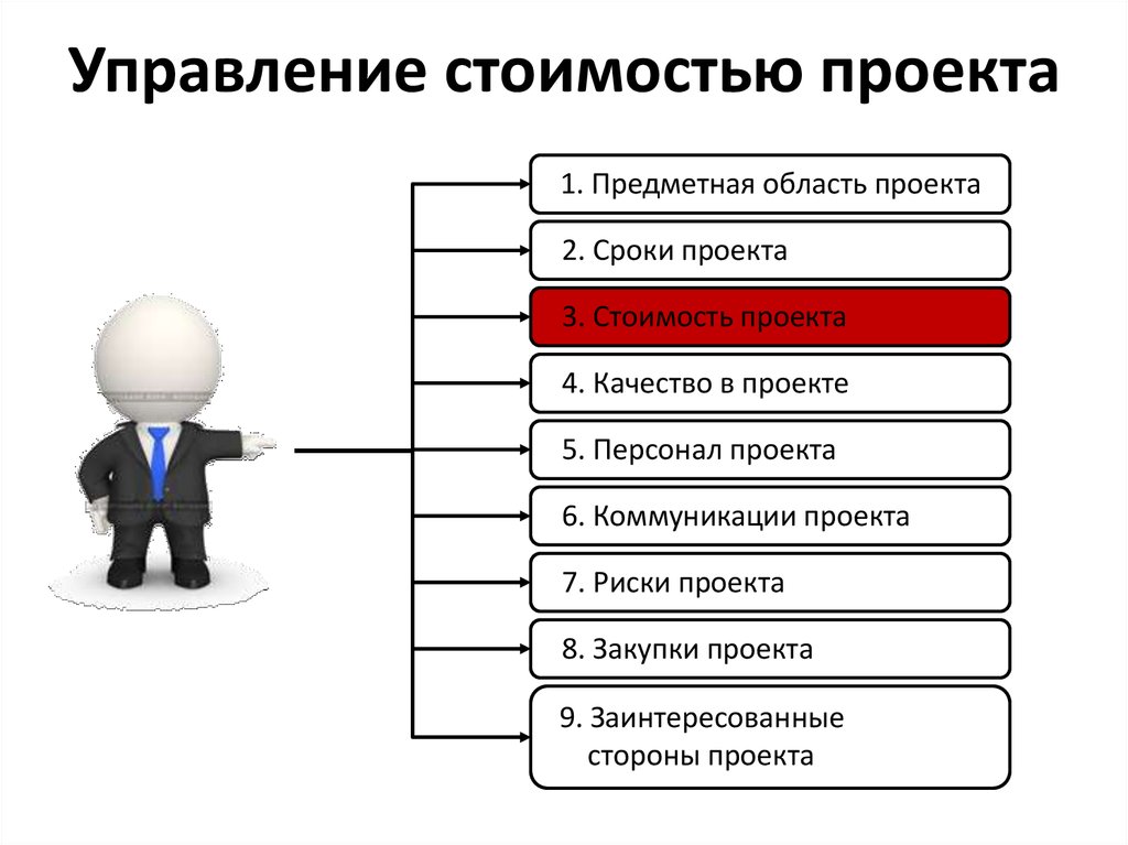 Политика управления проектами