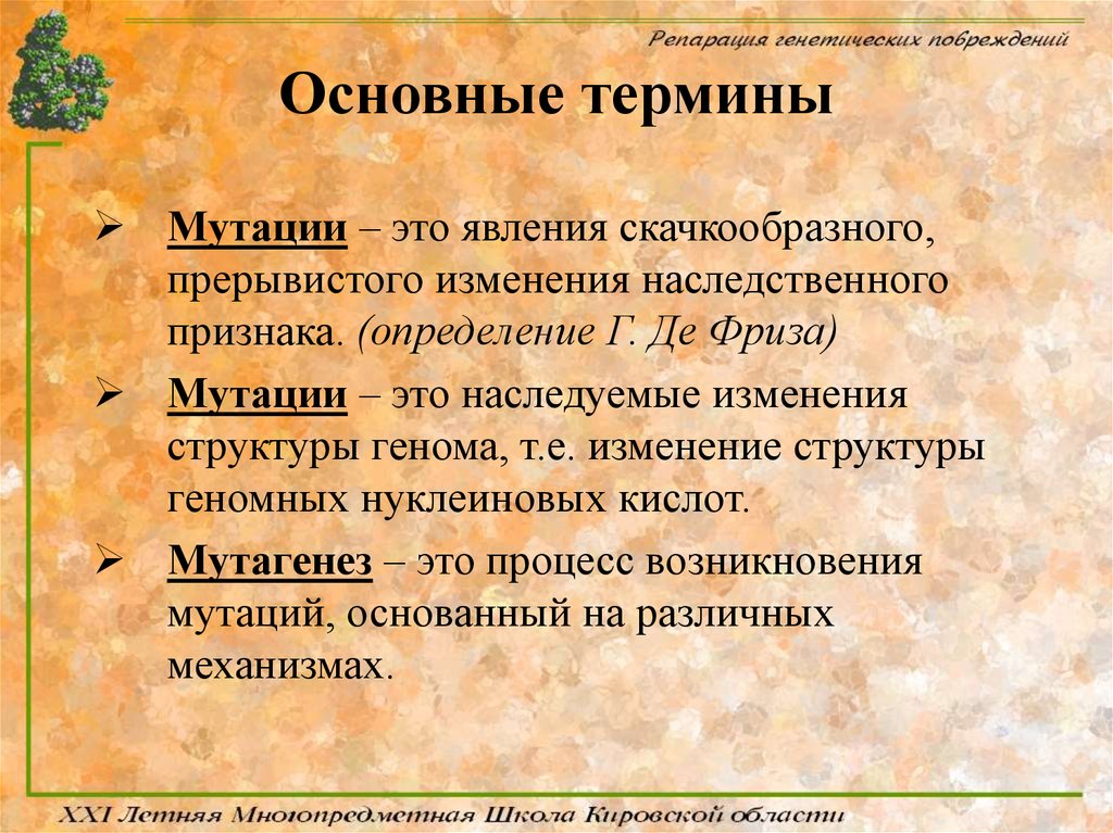 Генетические признаки. Мутации основные термины. Мутация - это явление скачкообразного изменения наследственного. Основные понятия мутации. Синонимические мутации.