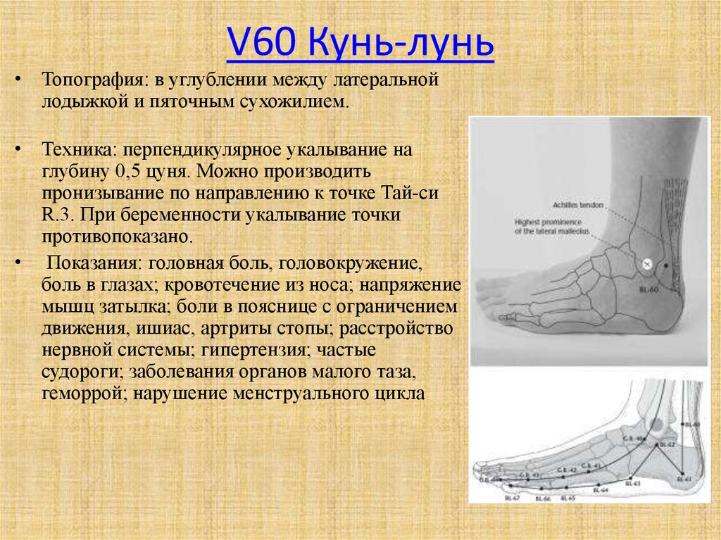 Кунь лунь перевод с китайского. Кунь-Лунь (v60. V60 точка акупунктуры. V60 Кунь Лунь точка акупунктуры. Акупунктурная точка v 60.