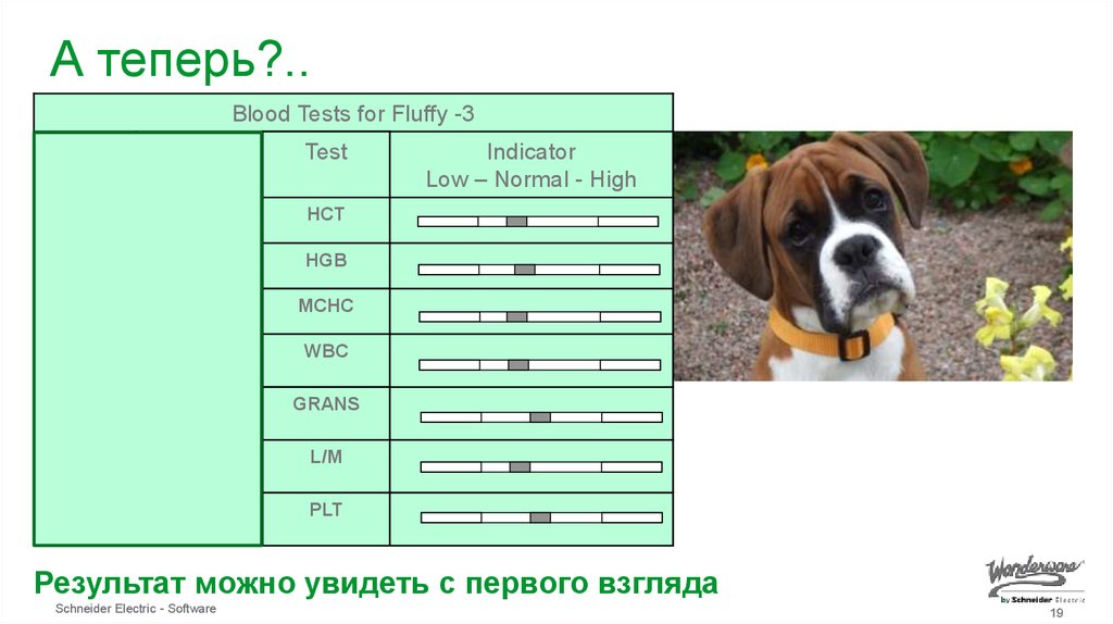 Данные – не информация: собака больна?