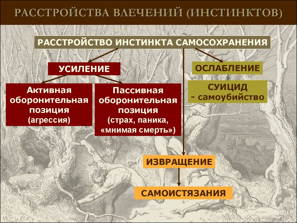 Инстинкт и воля. Расстройства влечений классификация. Нарушения инстинктивной деятельности. Расстройства влечений психиатрия. Нарушение инстинкта это в психиатрии.