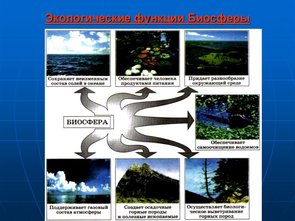 Связь биосферы с гидросферой