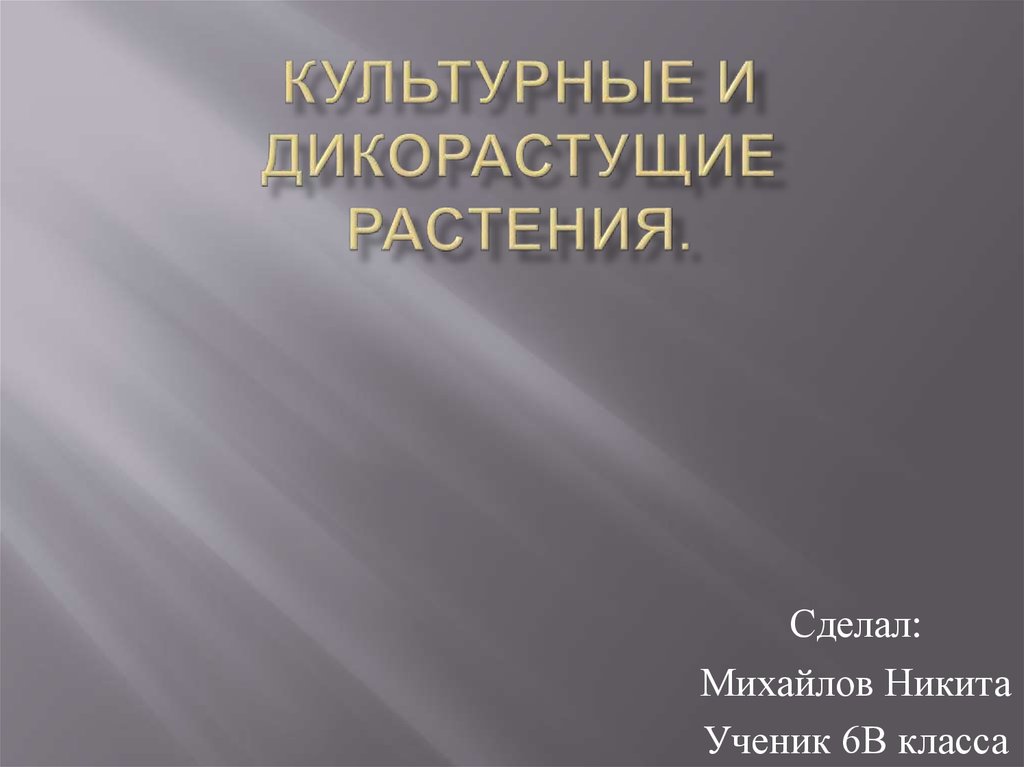 Почему важно обладать воображением огэ