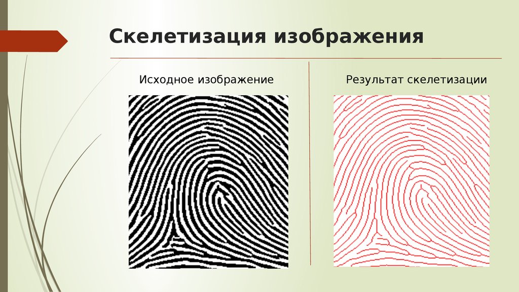 Исходное изображение. Скелетизация изображения. Скелетизация бинарного изображения. Алгоритм скелетизации изображения.