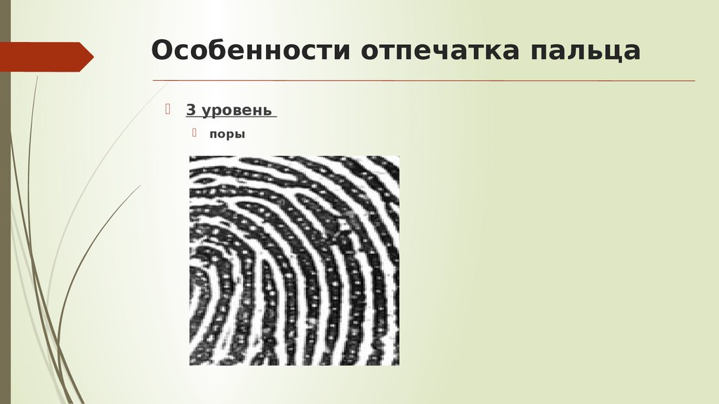 Характер по отпечаткам пальцев с картинками